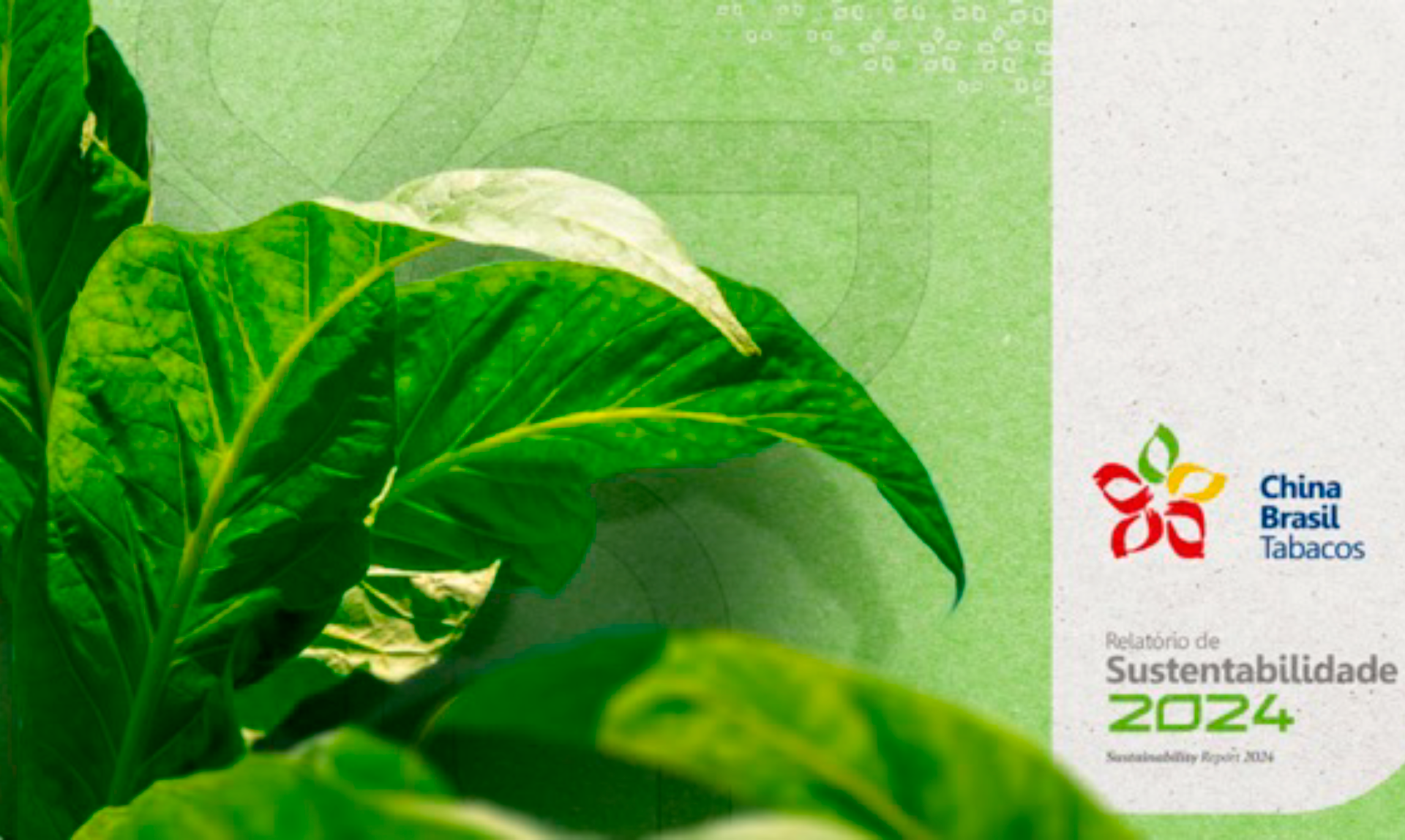 Sustentabilidade 6